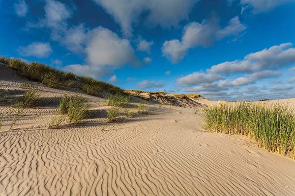Poland: Poland, Baltic Sea, Slowinski National Park VI by Mikolaj Gospodarek