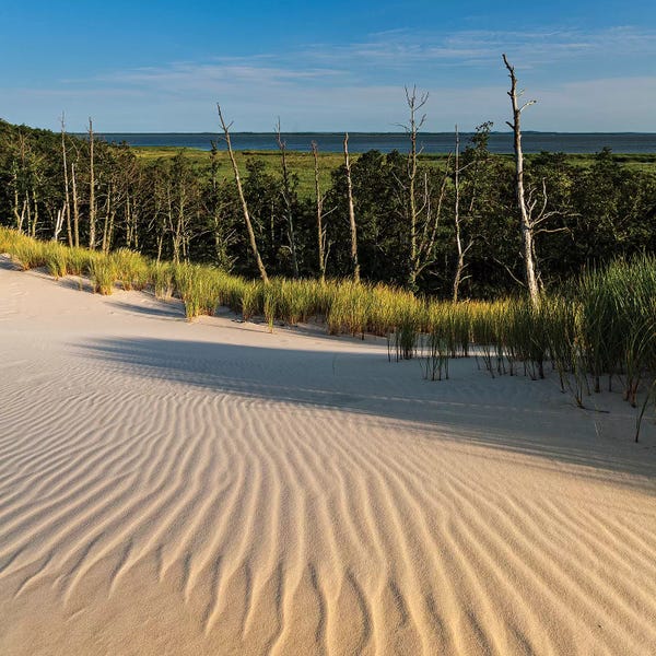 Poland, Baltic Sea, Slowinski National Park VII