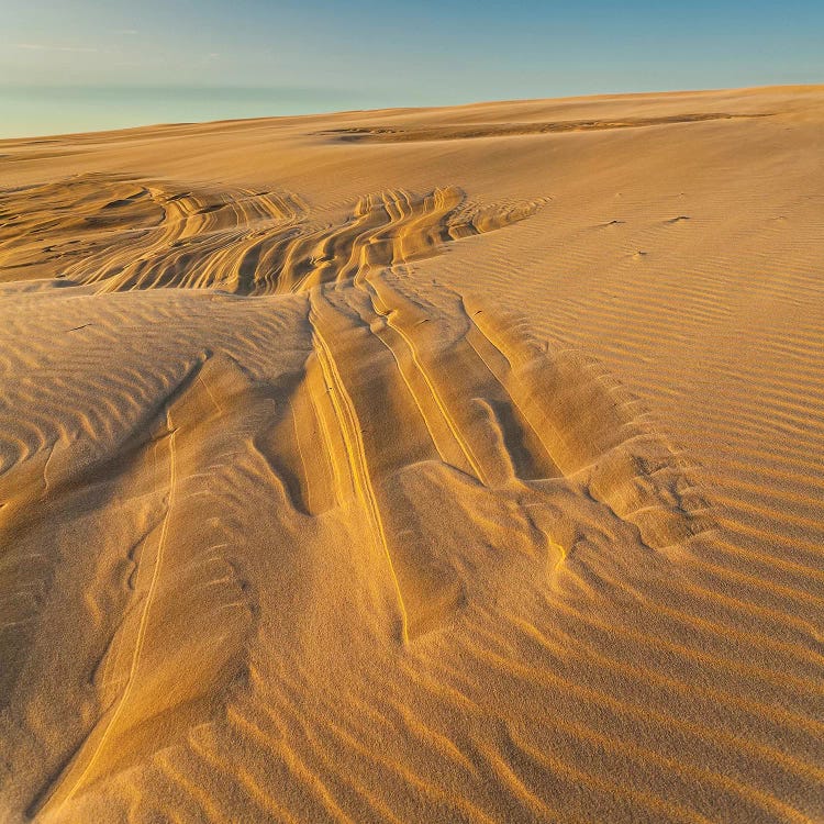 Poland, Baltic Sea, Slowinski National Park VIII by Mikolaj Gospodarek wall art