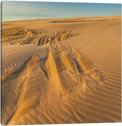 Poland, Baltic Sea, Slowinski National Park VIII Canvas Art Print - Coastal Sand Dune Art