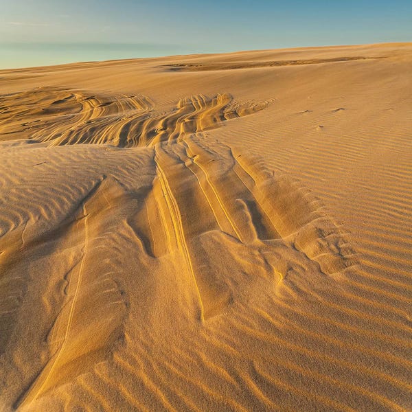 Poland: Poland, Baltic Sea, Slowinski National Park VIII by Mikolaj Gospodarek