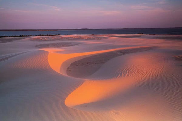 Poland: Poland, Baltic Sea, Slowinski National Park IX by Mikolaj Gospodarek