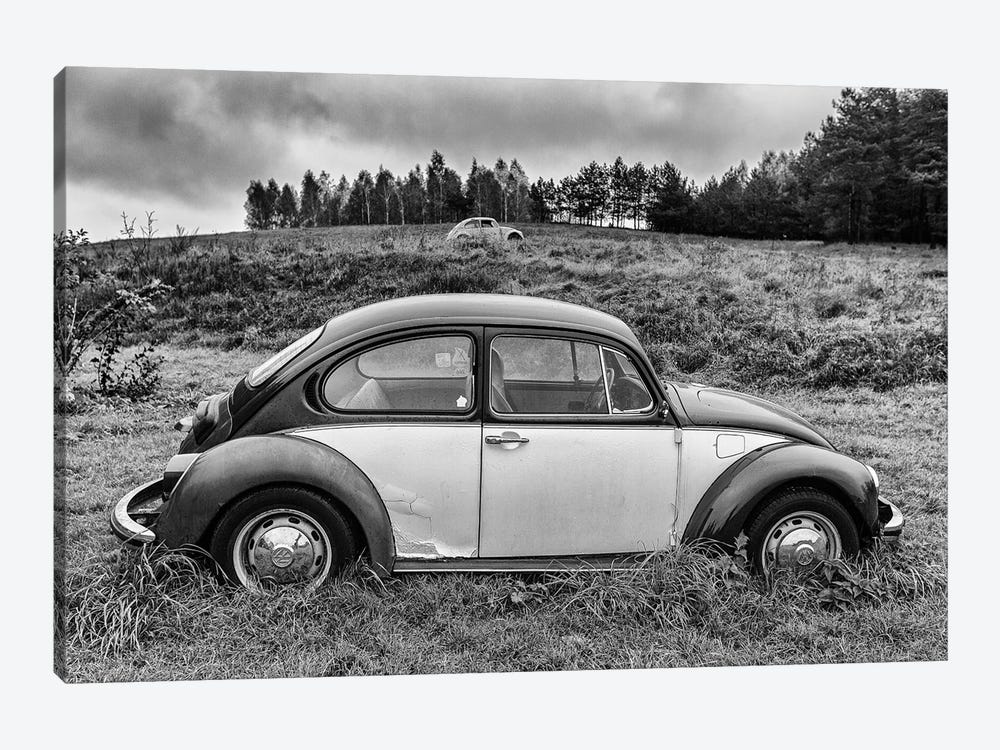 Volkswagen Beetle by Mikolaj Gospodarek 1-piece Canvas Artwork