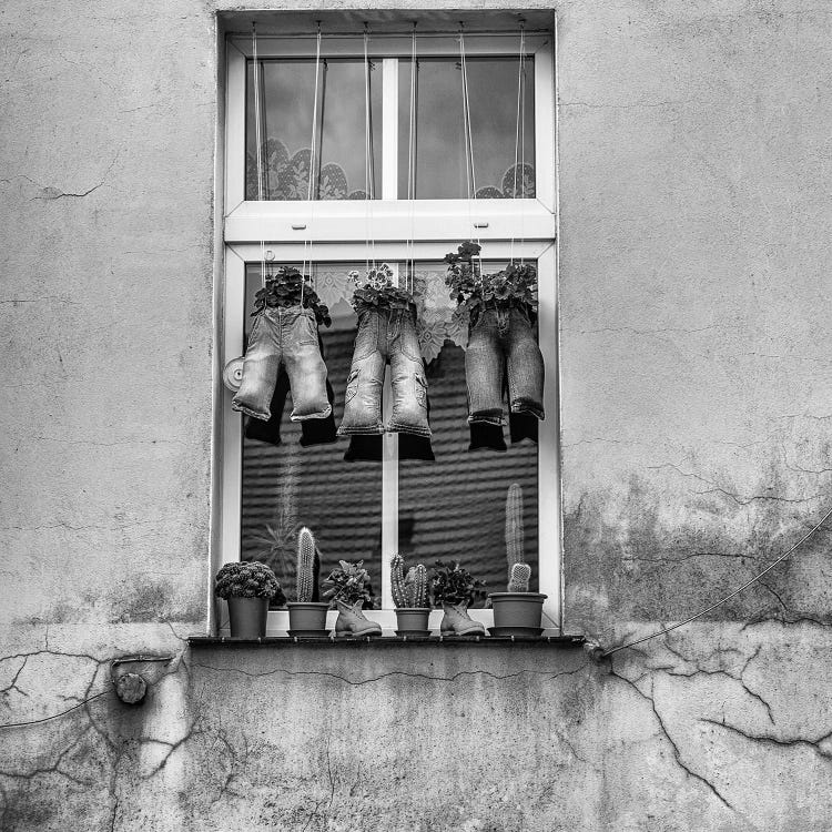 Magic Window by Mikolaj Gospodarek wall art