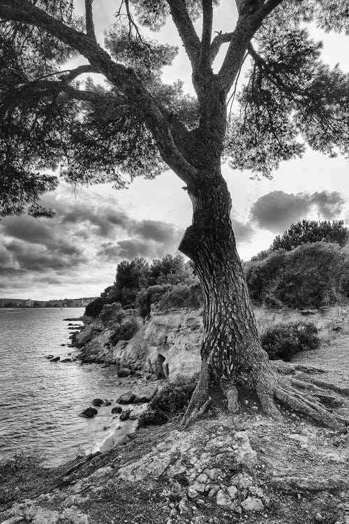Spain, Mallorca by Mikolaj Gospodarek wall art