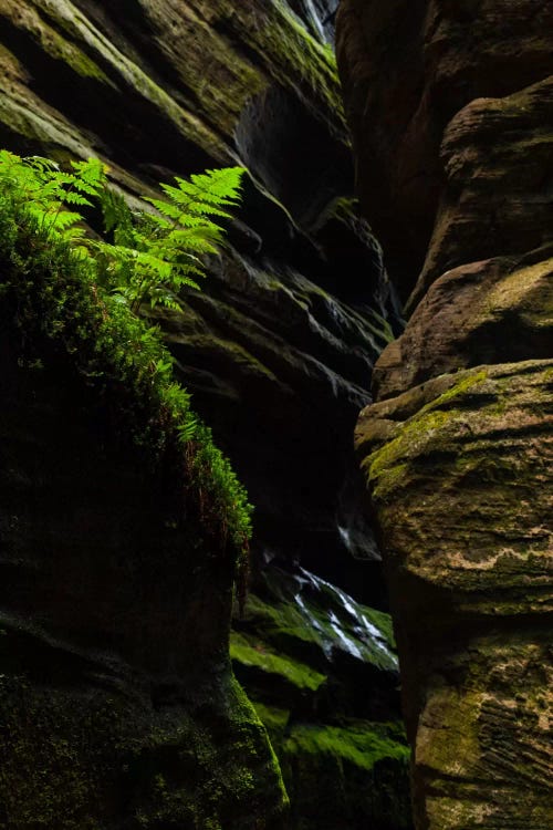 Czech Republic, Adršpach-Teplice Rocks II by Mikolaj Gospodarek wall art