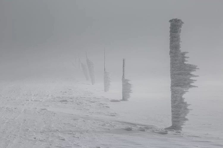 Giant Mountains, Poland