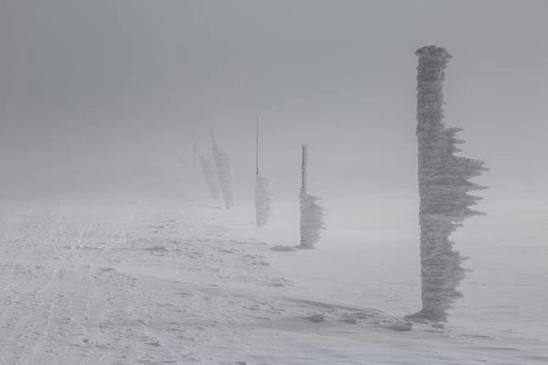 Poland: Giant Mountains, Poland by Mikolaj Gospodarek