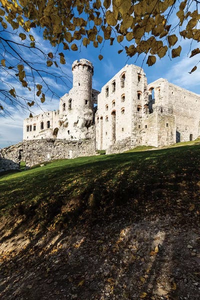 Ogrodzieniec Castle, Autumn, Poland by Mikolaj Gospodarek metal wall art