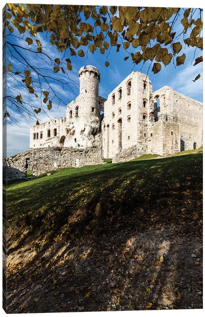 Ogrodzieniec Castle, Autumn, Poland Canvas Art Print - Castle & Palace Art