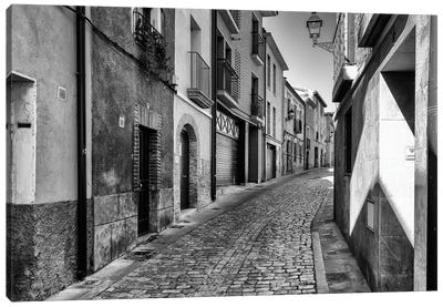 Tudela In Spain Canvas Art Print - Black & White Cityscapes