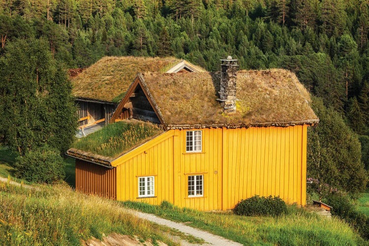 Norwegian House by Mikolaj Gospodarek wall art