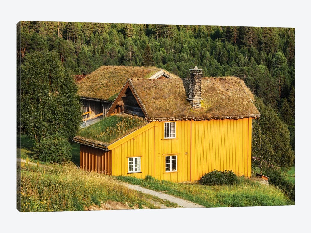 Norwegian House by Mikolaj Gospodarek 1-piece Art Print