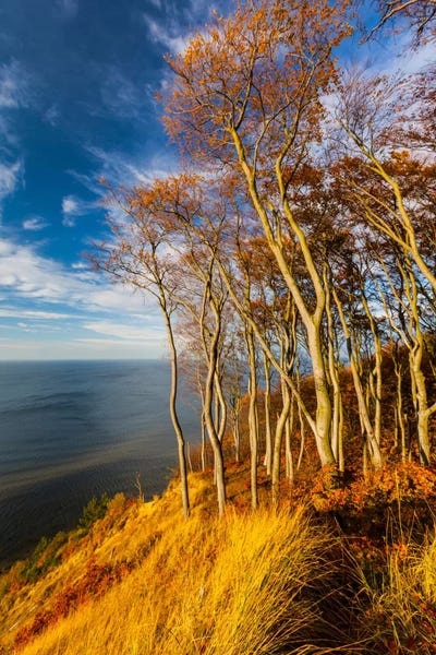 Hillsides: Poland, Baltic Sea, Wolin National Park by Mikolaj Gospodarek