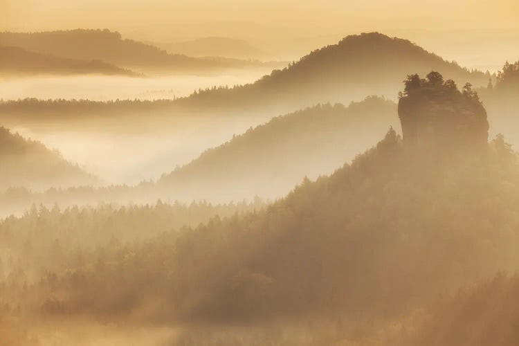 Sunrise In Saxon Switzerland, Germany