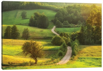 Magic Road - Suwalskie Region In Poland Canvas Art Print - Poland