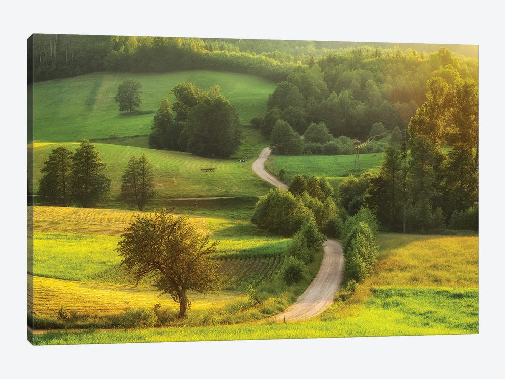 Magic Road - Suwalskie Region In Poland by Mikolaj Gospodarek 1-piece Art Print