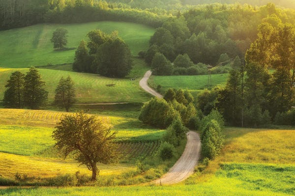 Poland: Magic Road - Suwalskie Region In Poland by Mikolaj Gospodarek