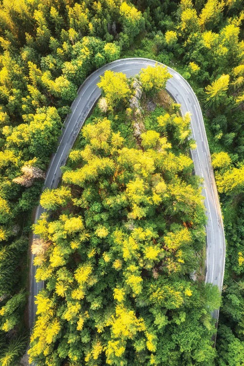 Magic Road - Turn In Poland by Mikolaj Gospodarek wall art