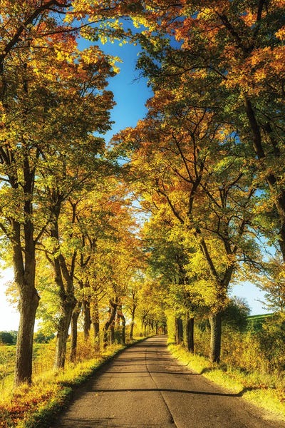 Magic Road - Masuria In Poland