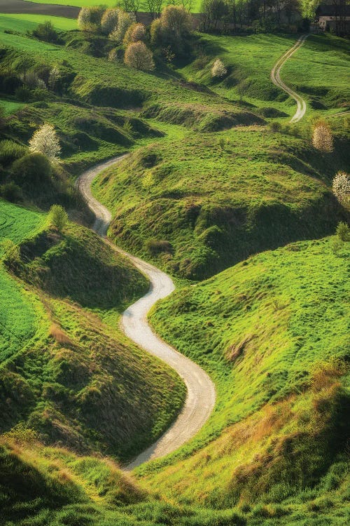 Magic Road - Stradow In Poland by Mikolaj Gospodarek wall art