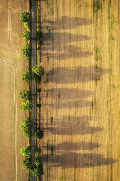 Poland: Magic Road - Summer In Poland by Mikolaj Gospodarek