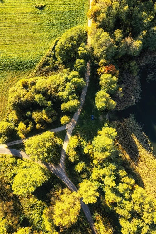 Magic Road - Autumn In Poland