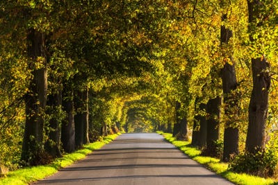 Poland, Jura, Road by Mikolaj Gospodarek canvas print