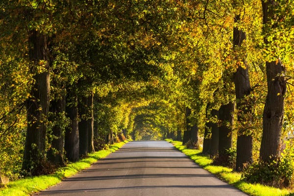 Poland, Jura, Road
