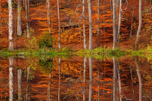 Mikolaj Gospodarek: Poland, Kashubia by Mikolaj Gospodarek