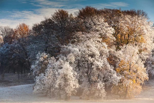 Poland: Poland, Muskau Park by Mikolaj Gospodarek