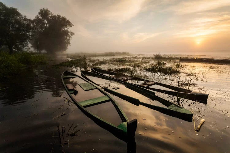 Poland, Podlaskie, Biebrza River, Sunrise I