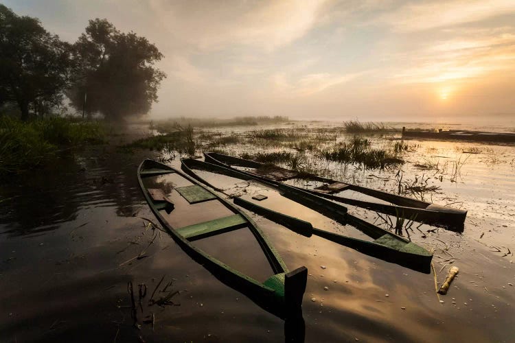 Poland, Podlaskie, Biebrza River, Sunrise I by Mikolaj Gospodarek wall art