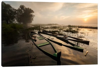Poland, Podlaskie, Biebrza River, Sunrise I Canvas Art Print - Mikolaj Gospodarek