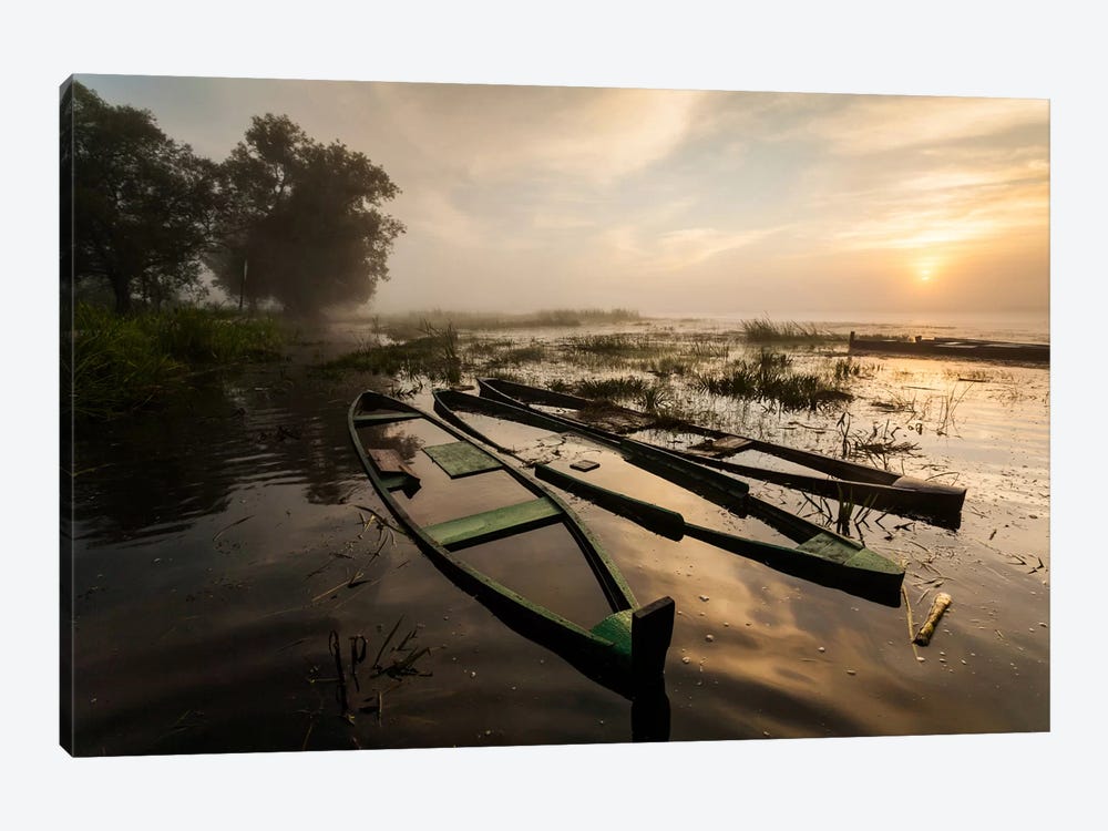 Poland, Podlaskie, Biebrza River, Sunrise I by Mikolaj Gospodarek 1-piece Canvas Art Print