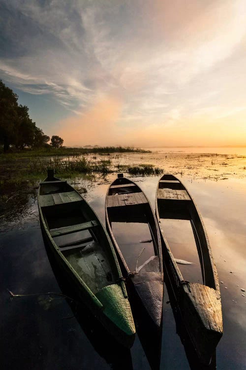 Poland, Podlaskie, Biebrza River, Sunrise II