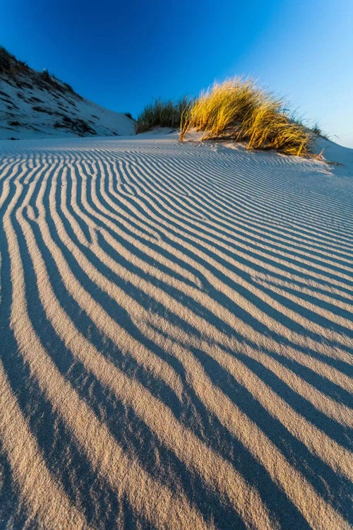 Poland, Slowinski National Park, Dune