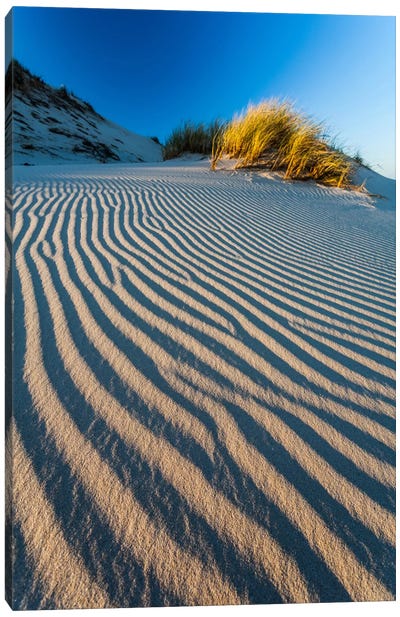 Poland, Slowinski National Park, Dune Canvas Art Print - Coastal Sand Dune Art