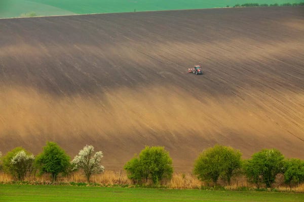 Mikolaj Gospodarek: Czech Republic, Moravia, Rapeseed Field I by Mikolaj Gospodarek