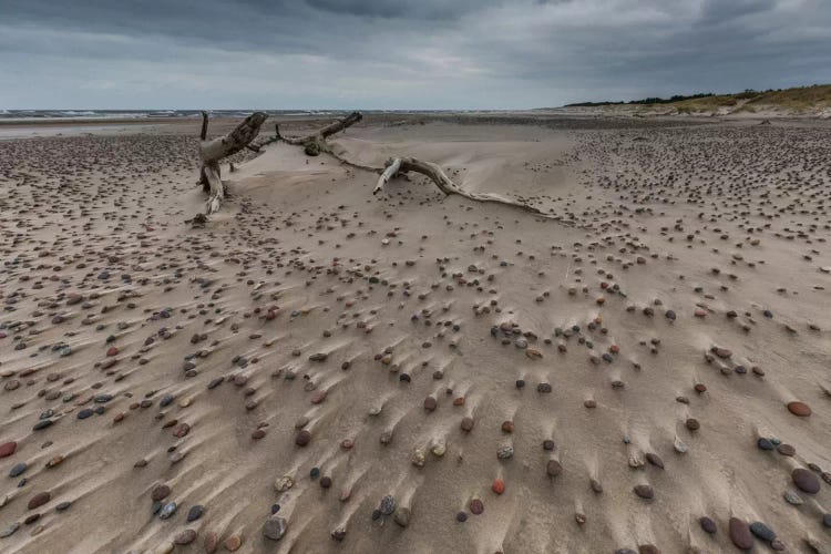 Poland, Baltic Sea, Stones On The Beach