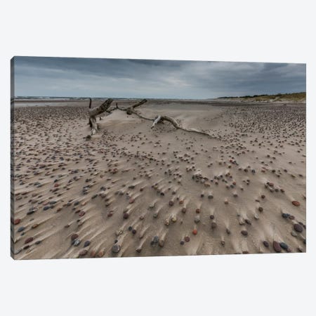Poland, Baltic Sea, Stones On The Beach Canvas Print #LAJ80} by Mikolaj Gospodarek Art Print