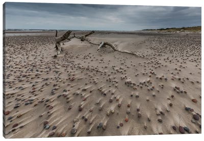 Poland, Baltic Sea, Stones On The Beach Canvas Art Print - Mikolaj Gospodarek