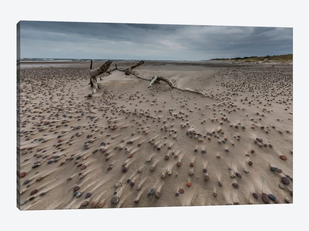 Poland, Baltic Sea, Stones On The Beach by Mikolaj Gospodarek 1-piece Canvas Art