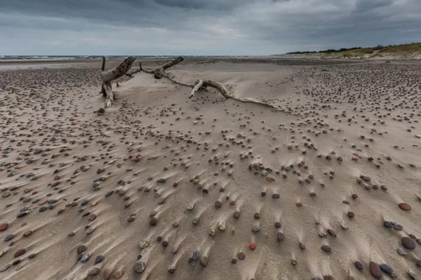 Mikolaj Gospodarek: Poland, Baltic Sea, Stones On The Beach by Mikolaj Gospodarek
