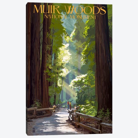 Muir Woods National Monument (Old-Growth Redwoods) Canvas Print #LAN102} by Lantern Press Canvas Wall Art