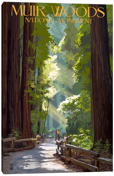 Muir Woods National Monument (Old-Growth Redwoods) Canvas Art Print - Lantern Press