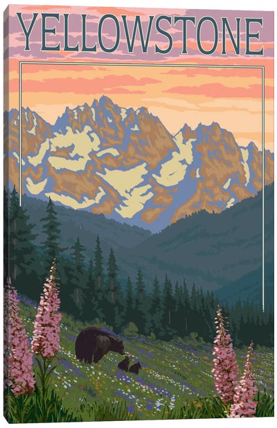 Yellowstone National Park (Black Bear Family) Canvas Art Print - Wyoming Art