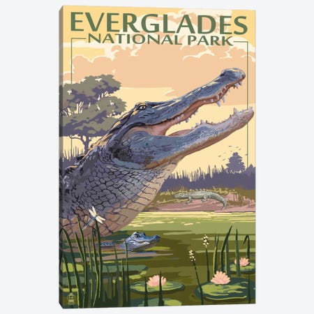 Everglades National Park (Alligators) Canvas Print #LAN80} by Lantern Press Canvas Art Print