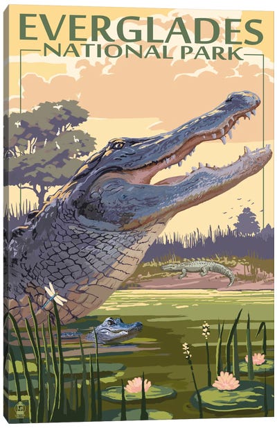 Everglades National Park (Alligators) Canvas Art Print - Everglades National Park Art