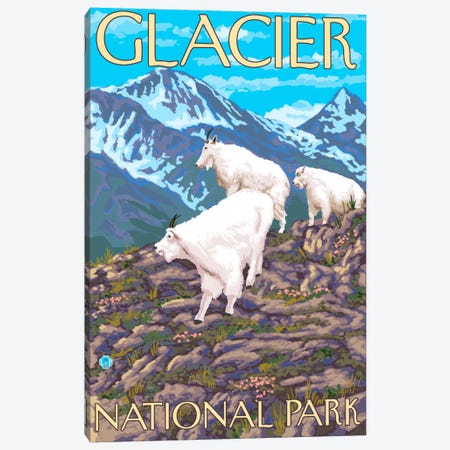 Glacier National Park (Mountain Goats) Canvas Print #LAN84} by Lantern Press Canvas Wall Art